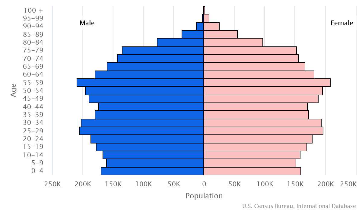 2023 population pyramid