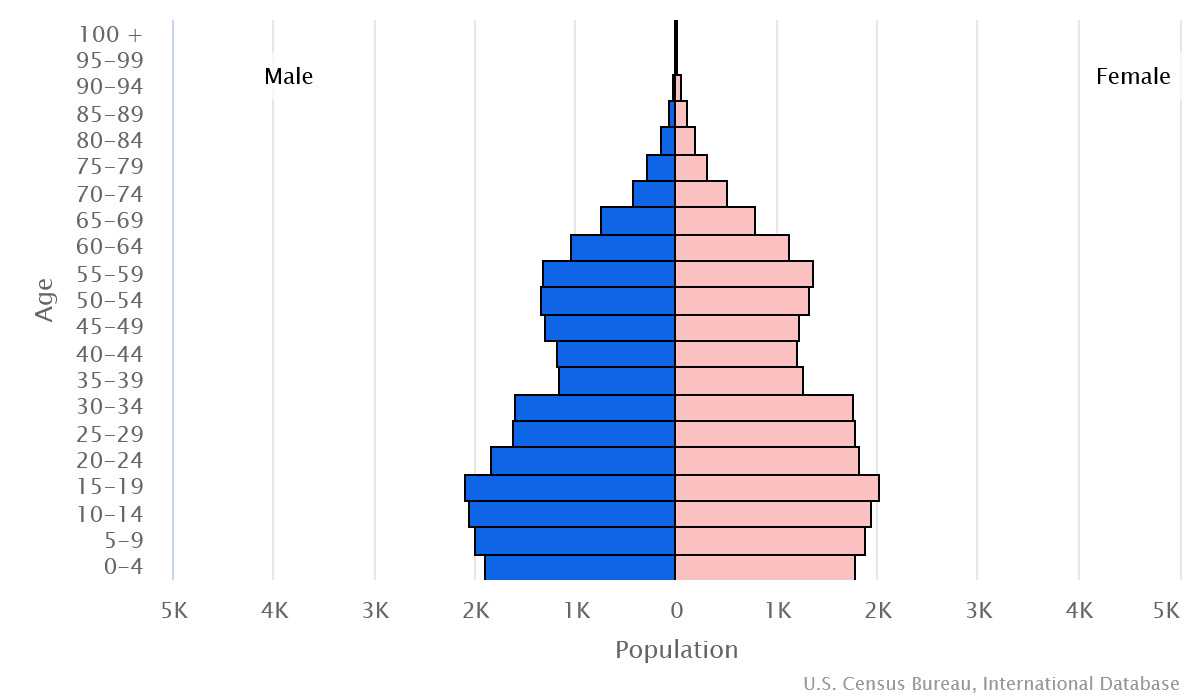 2023 population pyramid