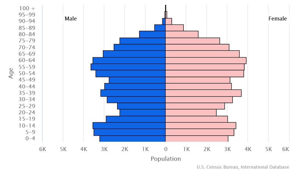 2023 population pyramid