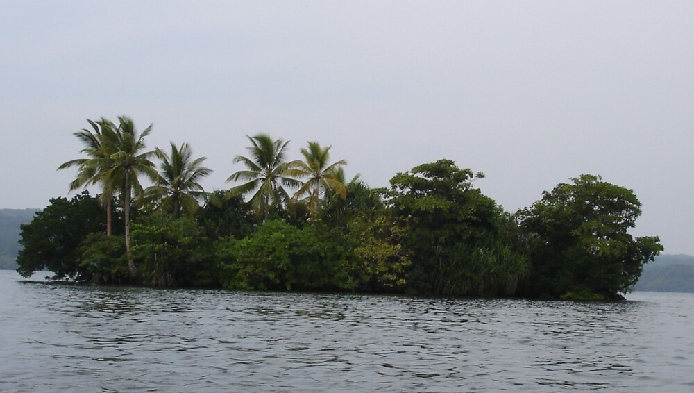 The Solomon Islands are located in the South Pacific Ocean, and the group’s East Rennell Island (pictured) in the southernmost part is one of the world’s largest raised coral atolls. The island measures 86 km long (53 mi) and 15 km (9.3 mi) wide and is covered with dense forest.