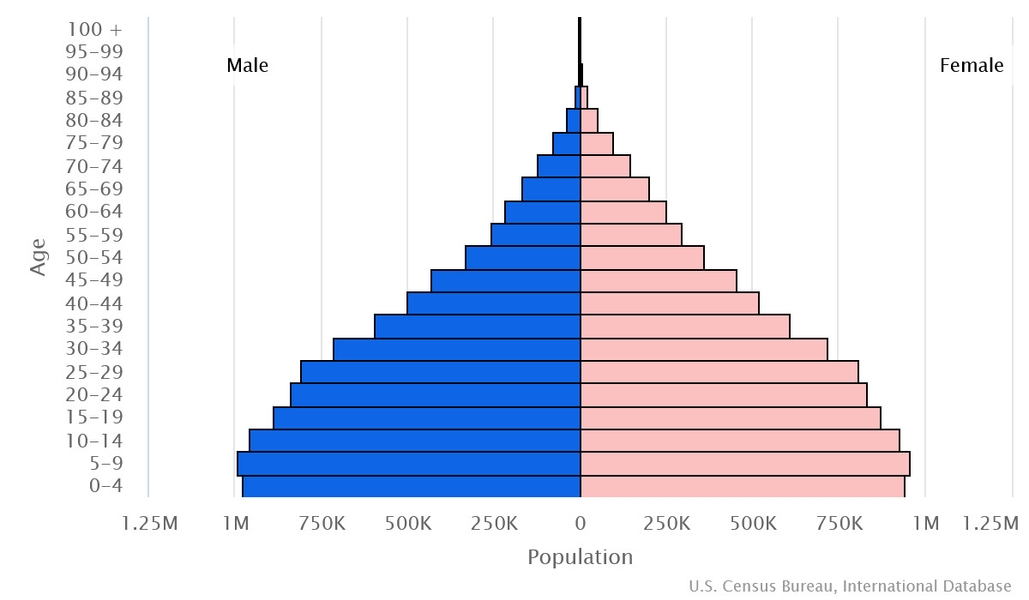 2023 population pyramid