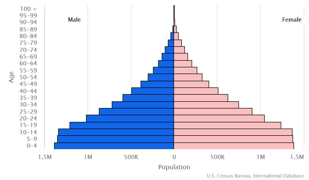 2023 population pyramid