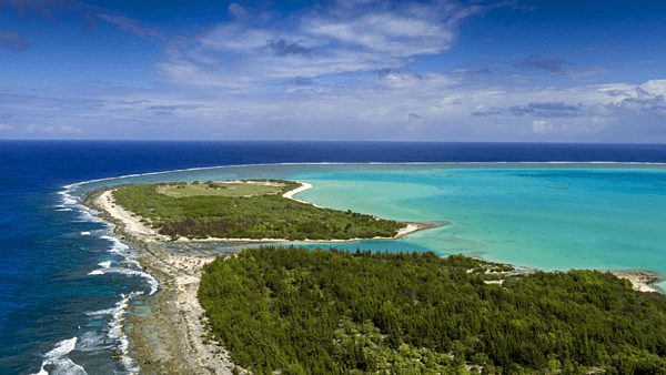 An aerial view of Wilkes Island, one of the three islands making up Wake Atoll. Located on the west side of the atoll, Wilkes Island is now home to a bird sanctuary of approximately 12 different  species of both sea and shore birds and about 40,000 birds total. This conservation effort is a joint project between the US Air Force and the US Fish and Wildlife Service of the Department of the Interior. Photo courtesy of the US Air Force.