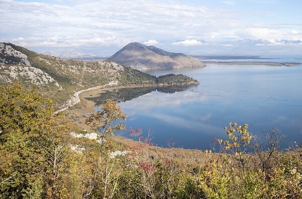 Lake Skadar is located in Skadar Lake National Park. The lake is the largest natural reservoir of fresh water in the Balkans; roughly 475 sq km (183 sq mi) in size, with an average depth of 5 m (16 ft). Most of the lake lies in Montenegro, but a considerable portion extends into Albania.