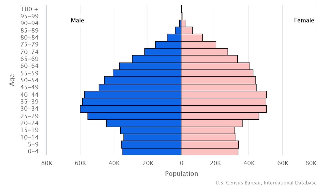 2023 population pyramid