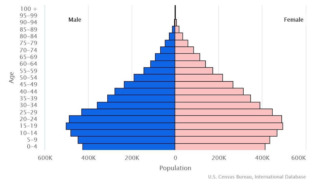 2023 population pyramid